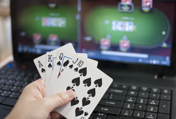 777 wolf Sportsbook